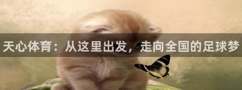凯发官方正版app娱乐40996：天心体育：从这里出