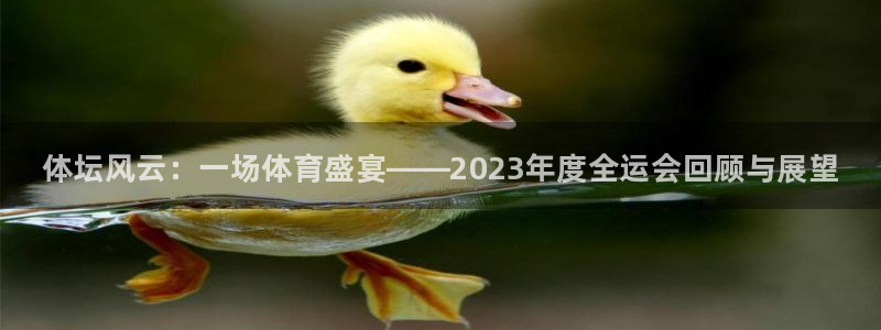 海南凯发官网下载发展怎么样：体坛风云：一场体育盛宴—