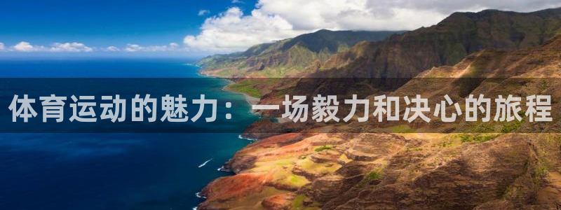 凯发官方正版app集团官网首页网址：体育运动的魅力：