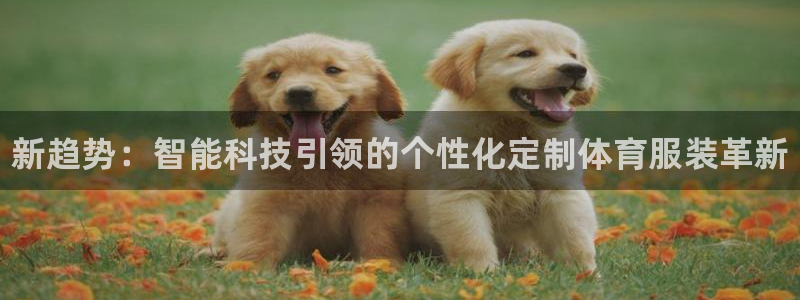 凯发官方正版app集团官网网址：新趋势：智能科技引领的个性化