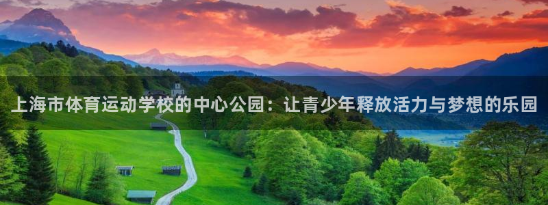 凯发官网下载平台是正规平台吗知乎：上海市体育运动学校的中心公