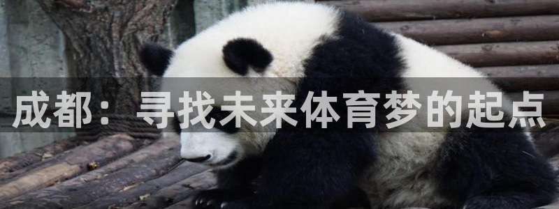 凯发官方正版app集团E.ON：成都：寻找未来体育梦的起点
