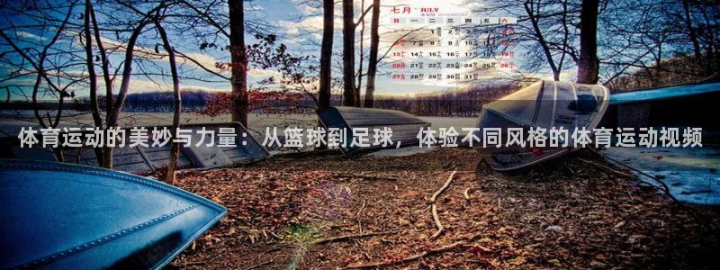 凯发官网下载平台假的吗是真的吗：体育运动的美妙与力量
