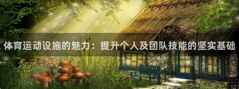 凯发官网下载平台是正规平台吗知乎：体育运动设施的魅力：提升个