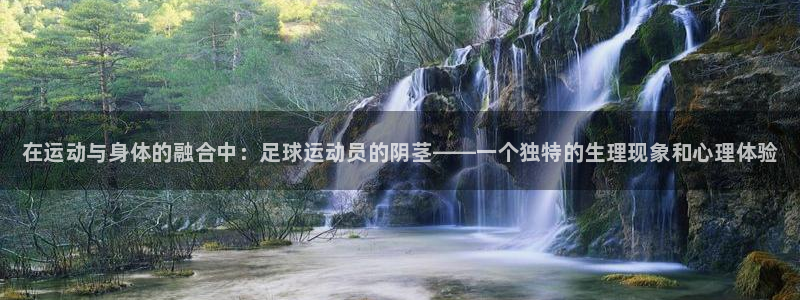 凯发官网下载平台是正规平台吗知乎：在运动与身体的融合中：足球