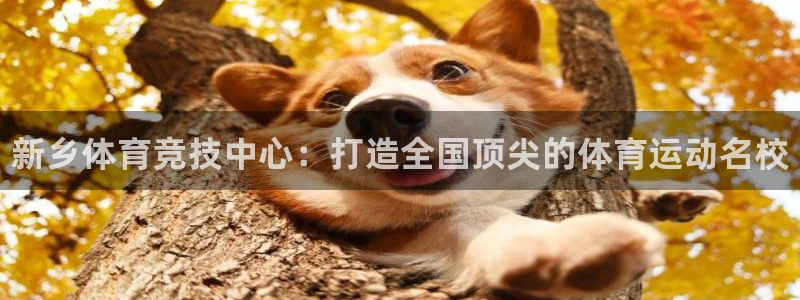 凯发官网下载平台假的吗是真的吗吗：新乡体育竞技中心：打造全国