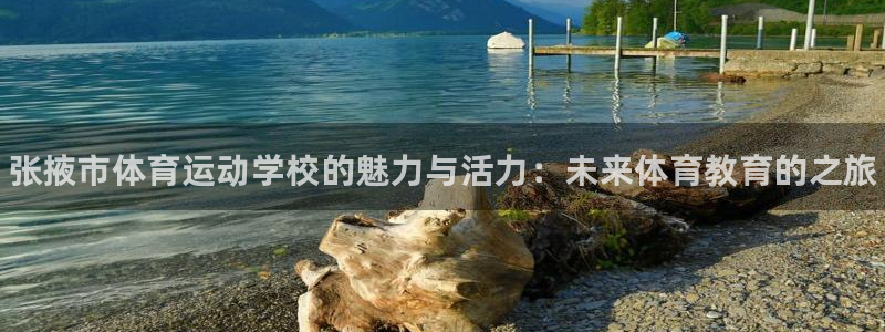 凯发官方正版app娱乐是那个系列的台子：张掖市体育运动学校的