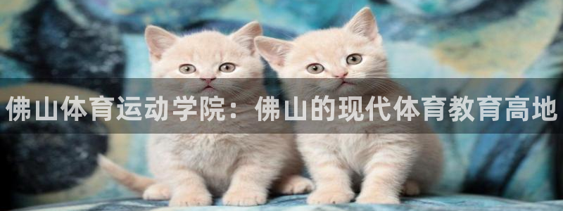 凯发官方正版app集团E.ON：佛山体育运动学院：佛山的现代