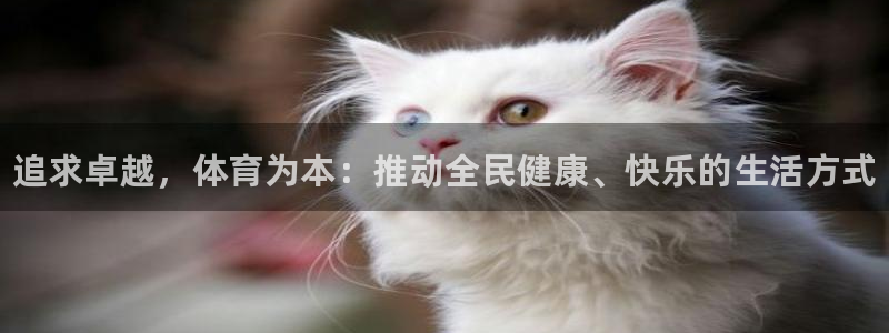 凯发官方正版app集团E.ON：追求卓越，体育为本：