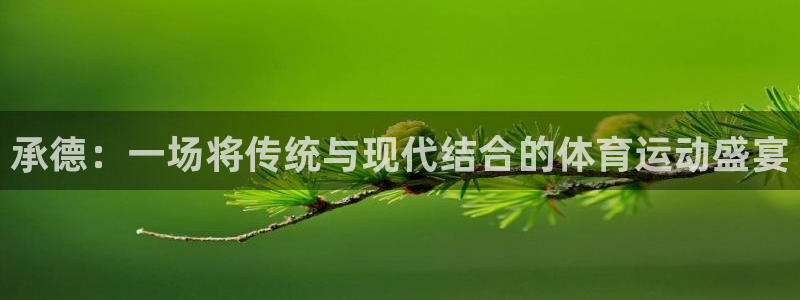 凯发官方集团官网：承德：一场将传统与现代结合的体育运