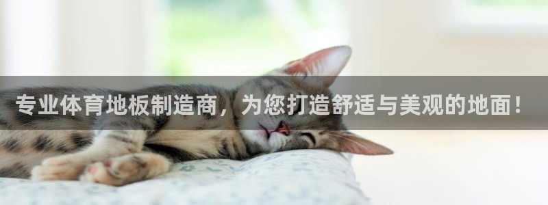 凯发官方正版app集团简介：专业体育地板制造商，为您打造舒适