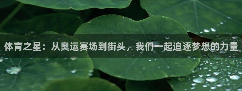 凯发官网下载平台注册：体育之星：从奥运赛场到街头，我
