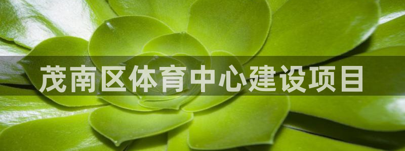 凯发官方正版app集团logo：茂南区体育中心建设项