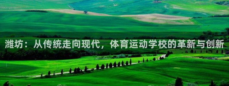 凯发官网下载平台是正规平台吗知乎：潍坊：从传统走向现