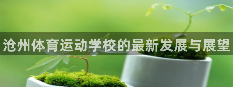 德国凯发官方正版app集团：沧州体育运动学校的最新发