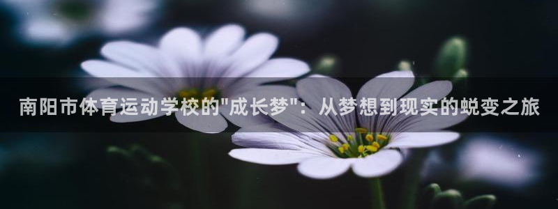 凯发官方正版app娱乐：南阳市体育运动学校的\