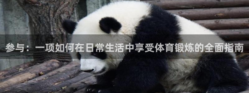 注册凯发官方正版app：参与：一项如何在日常生活中享受体育锻