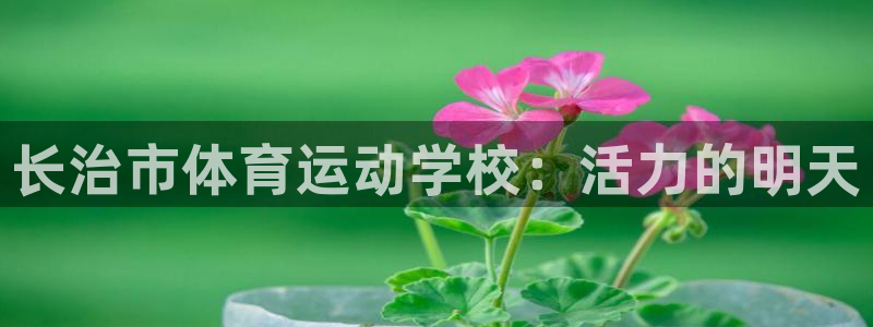 凯发官方正版app集团：长治市体育运动学校：活力的明天