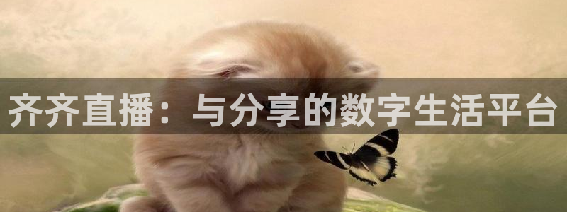 黑白体育看高清直播：齐齐直播：与分享的数字生活平台