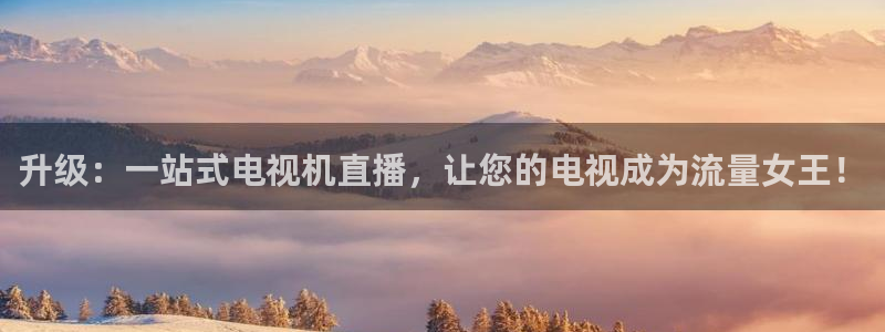 篮球直播黑白