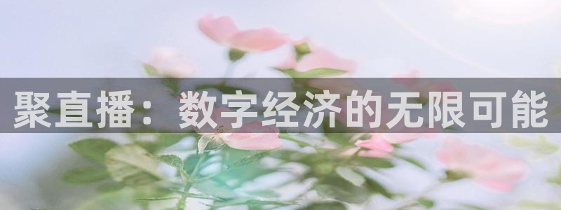 黑白直播体育app官方下载：聚直播：数字经济的无限可能