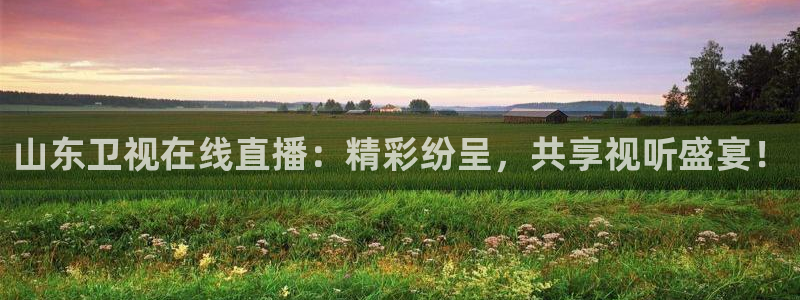 黑白体育直播免费：山东卫视在线直播：精彩纷呈，共享视听盛宴！