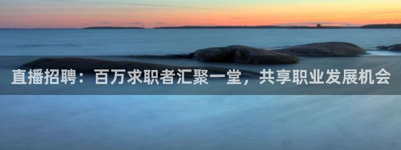 黑白直播nba赛事免费观看：直播招聘：百万求职者汇聚一堂，共享职业发展机会