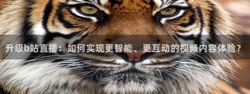 黑白体育直播高清免费观看：升级b站直播：如何实现更智能、更互动的视频内容体验？