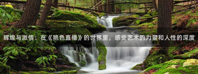 黑白足球直播在线观看