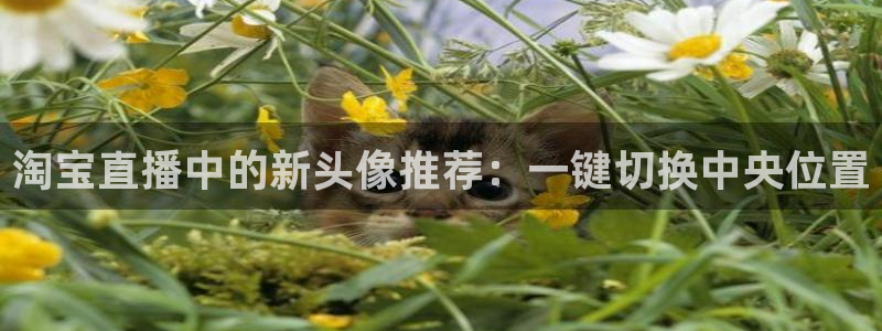 黑白直播看球：淘宝直播中的新头像推荐：一键切换中央位置