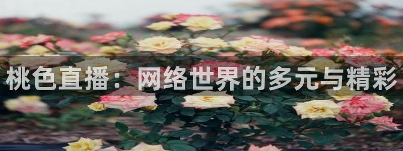 nba黑白直播：桃色直播：网络世界的多元与精彩