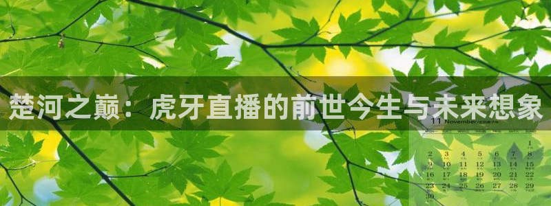 黑白体育nba篮球直播：楚河之巅：虎牙直播的前世今生与未来想象