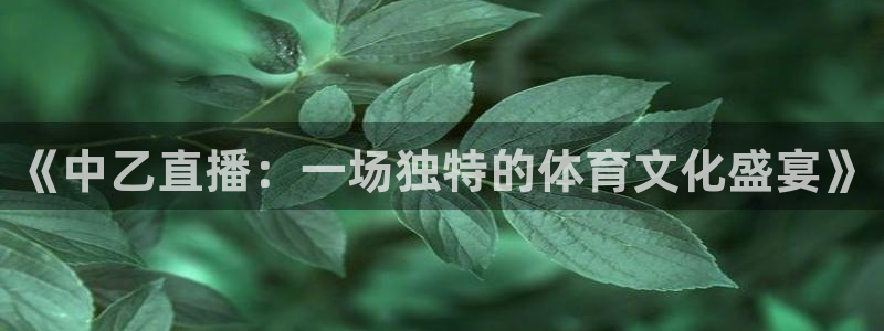 黑白nba直播：《中乙直播：一场独特的体育文化盛宴》