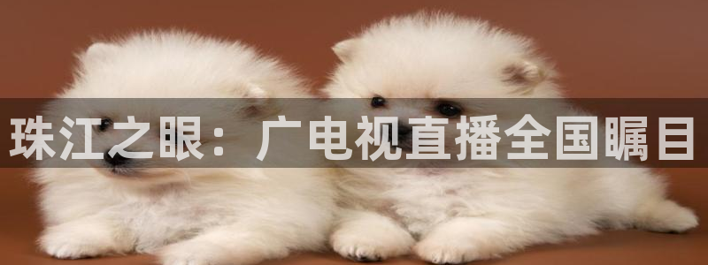 黑白直播nba免费直播：珠江之眼：广电视直播全国瞩目