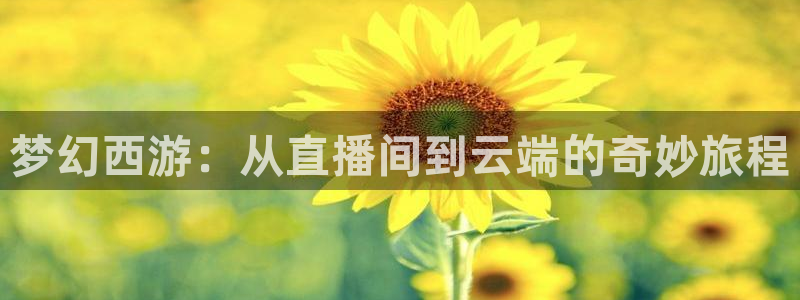 黑白直播体育app下载ios：梦幻西游：从直播间到云端的奇妙旅程