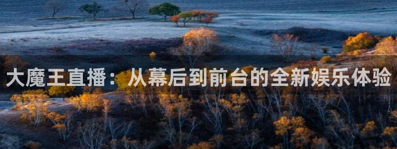 nba在线直播免费观看直播黑白直播：大魔王直播：从幕后到前台的全新娱乐体验